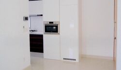 The Ford @ Holland (D10), Condominium #497386551